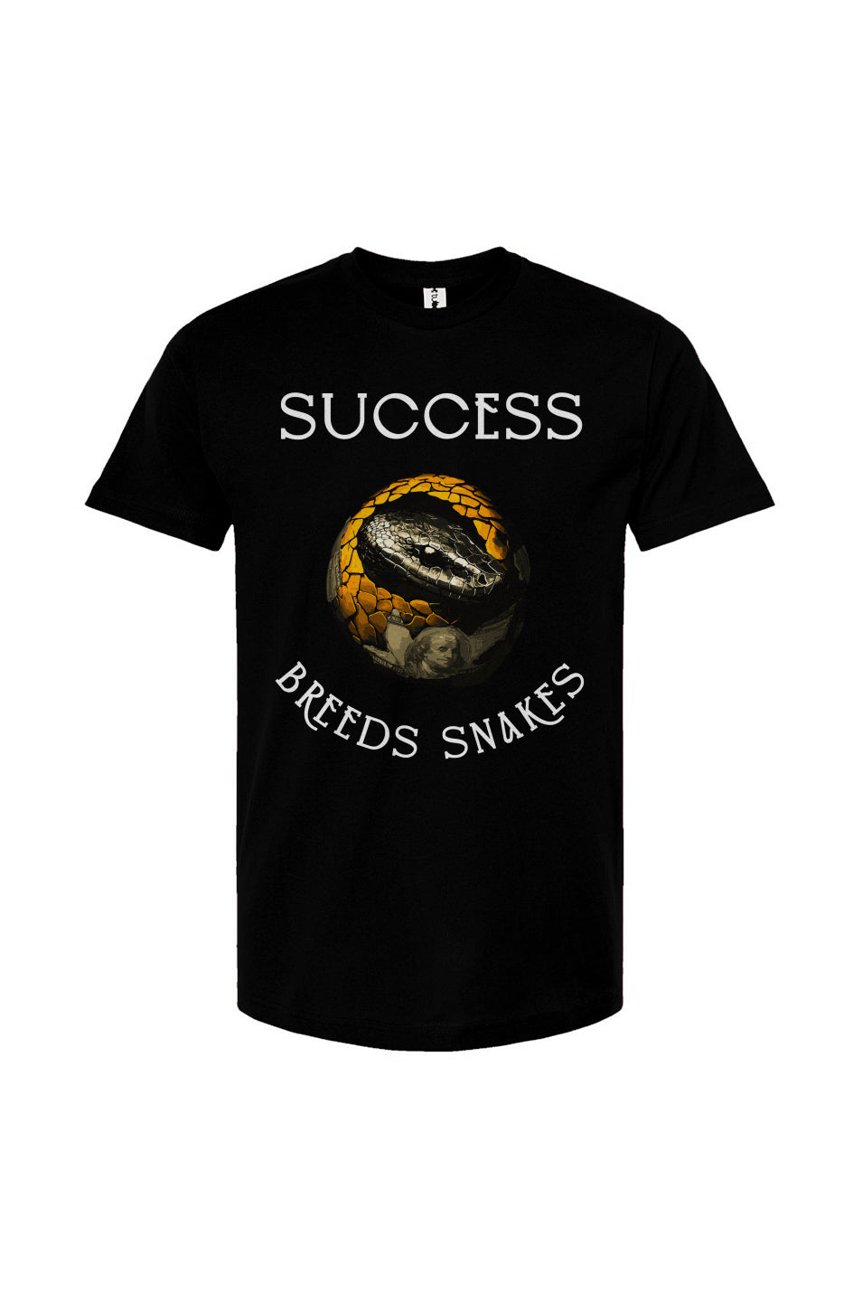 Success and Snakes