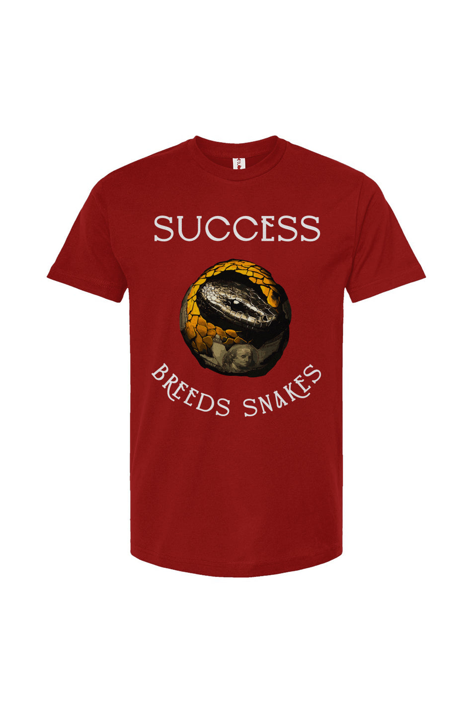 Success and Snakes